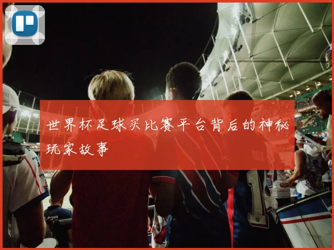 世界杯足球买比赛平台背后的神秘玩家故事