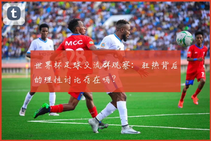 世界杯足球交流群观察：狂热背后的理性讨论存在吗？