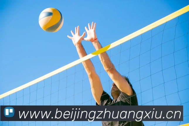 华体网页版登录平台生态图